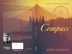 Book cover art option #2